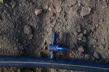 Mavi kapakçıklı siyah bir sulama borusu kuru toprakta duruyor. Tarımda verimli su yönetimi sergiliyor..