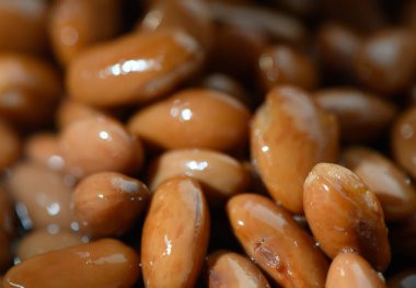 Doğal ışık altında parlayan kavrulmuş bademlerin yakın çekimleri zengin renklerini ve eşsiz dokularını vurguluyor..