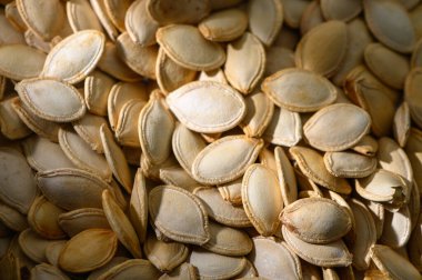 Bir sürü kurumuş kabak çekirdeği birlikte dağılmış, kızartılmaya ya da ekilmeye hazır, sonbaharın özünü yakalıyor..