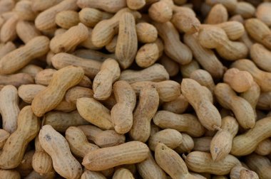 Naturally textured brown peanuts lay scattered, showcasing their earthy tones and unique shapes in a rural setting.