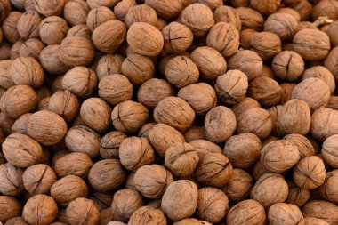A close look at walnuts showing unique patterns and earthy tones, all set for harvest.