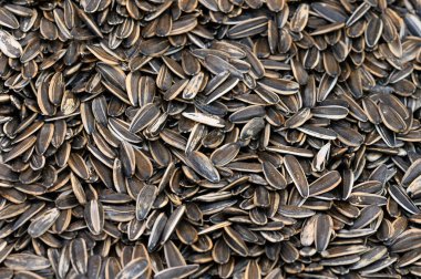 A vibrant display of roasted sunflower seeds fills the surface, embodying warmth and comfort in a kitchen.