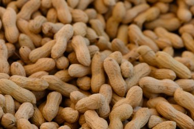 Bountiful display of freshly harvested peanuts nestled together, highlighting their earthy colors and textures.