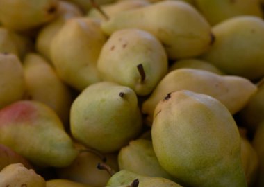 Taze hasat edilmiş sarı armutlar üst üste yığılır, alışverişçiler güneşli bir sonbahar gününde canlı pazar atmosferini keşfederken pürüzsüz derilerini ve doğal renklerini sergilerler..