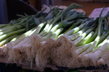 Uzun, parlak kökleri olan yeşil pırasalar satılık. Alışverişçiler renkli ürünler ve neşeli tedarikçilerle çevrili neşeli atmosferin tadını çıkarıyorlar..