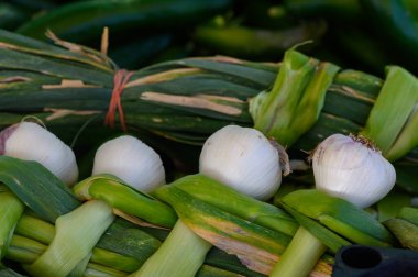 Renkli pırasa ve soğan demetleri sabahın erken saatlerinde hareketli bir çiftçi pazarında davetkar bir manzara yaratır..