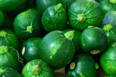 Dolgun bir çiftçi pazarında sergilenen renkli yuvarlak yeşil kabak dizisi, yazın ödüllerini gözler önüne seriyor..