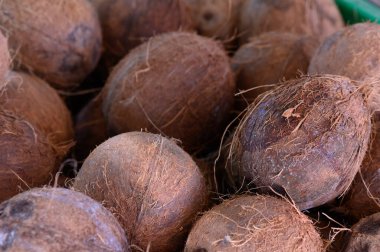 Sert kabuklu hindistan cevizi yığınları ve karışık kökler canlı bir çiftçi pazarında, sıcak güneşin altında canlı ürünlerle çevrili, davetkar bir atmosfer yaratıyor..