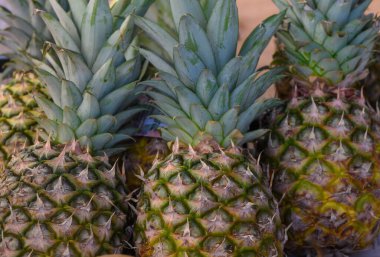 Hareketli bir pazarın canlı atmosferi arasında olgun ananaslar sıcak güneşin altında parlıyor, yeşil yaprakları altın deriyle çelişiyor, müşterileri cezbedip taze tropikal lezzetlere daldırıyor..