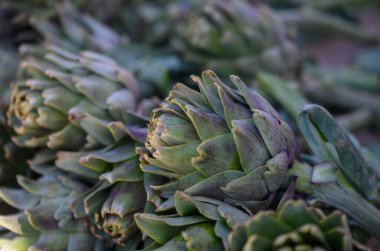 Dolgun enginarlar uyum içinde uzanır, yumuşak gün ışığında güneşlenirler, zengin dokularını ve topraksı renklerini sergilerler..