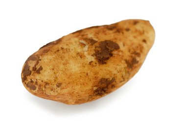 Kırsal bir patates sert, topraksı derisini ve ilginç şeklini sergiler. Doğanın cömertliğini ve çeşitliliğini kutlar..