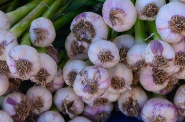 Taze toplanmış sarımsak soğanlarından oluşan renkli bir karışım kalabalık bir yerel çiftçi pazarında güzelce düzenlenmiştir. Sahne canlı renkler ve doğal dokularla dolu..