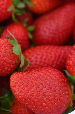 Işıl ışıl yüzeyi olan parlak kırmızı çilekler bir araya toplanmış ve sulu cazibelerini sergiliyorlar..