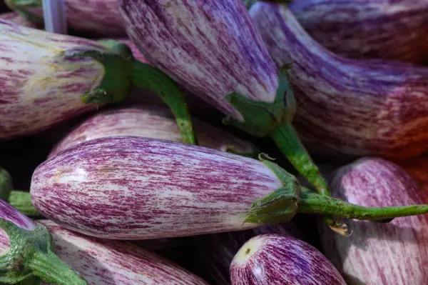 Taze hasat edilmiş patlıcanlar yerel pazarda canlı bir görüntü yaratarak müşterileri keşfetmeye davet ediyor..