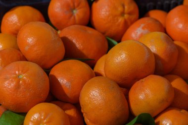 Parlak turuncu turunçgil meyveleri pazar vitrininde dinleniyor. Sabah güneşinin altın ışıklarının tadını çıkarıyorlar. Atmosfer enerjiyle uğulduyor, hevesli müşterileri çekiyor..