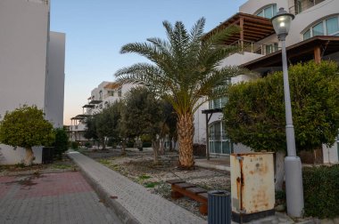 Palmiyelerle süslenmiş bir yürüyüş yolu huzurlu bir yerleşim yerine akşam gezginlerini davet eder..