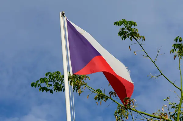 Çek bayrağı hafif bir meltemle dalgalanır, parlak mavi bir gökyüzünün altında yemyeşil ile çevrilidir..