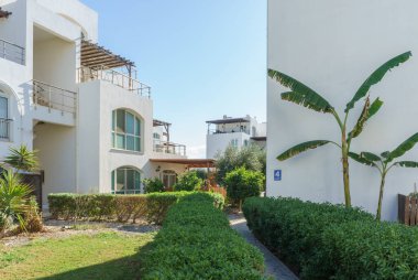 Yeşilliklerle dolu sakin bir yol çağdaş binaların arasından geçiyor, rahatlama ve barışı davet ediyor..