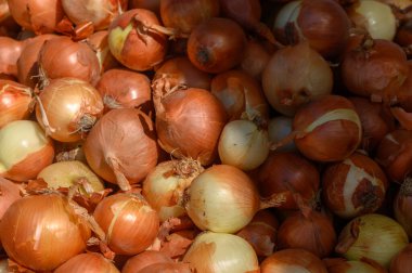 A colorful array of fresh onions rests on display, highlighting their earthy tones and textures under the midday sun.
