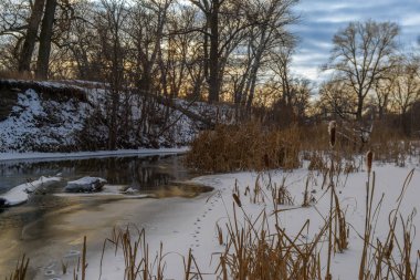 Soğuk sular akşam gökyüzünü yansıtırken kamışların soğuk esintide hafifçe sallanarak sakin bir kış anı yaratıyor..