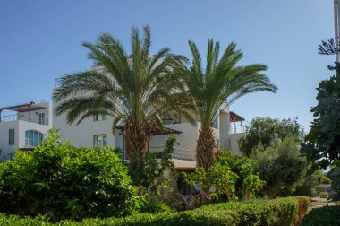 Modern bir villa canlı yeşilliklerle çevrili, yüksek palmiyeler ve berrak gökyüzünün altında sakin manzaralar barındırıyor..