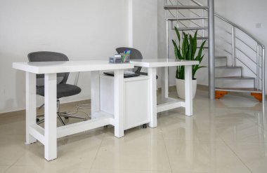 Parlak, minimalist bir ofiste, parlak yeşil bir bitki tarafından tamamlanmış, parlak beyaz çalışma merkezi..