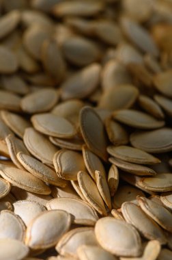 Güneş ışığı yeni toplanmış balkabağı tohumlarının bolluğunu aydınlatır. Sonbaharın özünü yakalar..