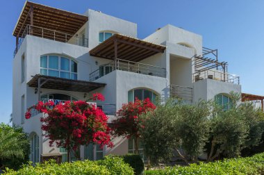 Göz kamaştırıcı beyaz bir villa, bereketli çiçekler ve yeşillik sunuyor, kıyı cennetinde sıcaklık ve sükuneti davet ediyor..