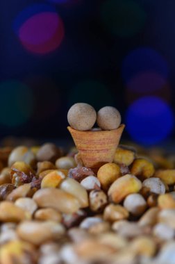 Canlı bir fındık çeşidi renkli ışıklarla aydınlatılmış küçük bir dekoratif kâsenin etrafına saçılmış..