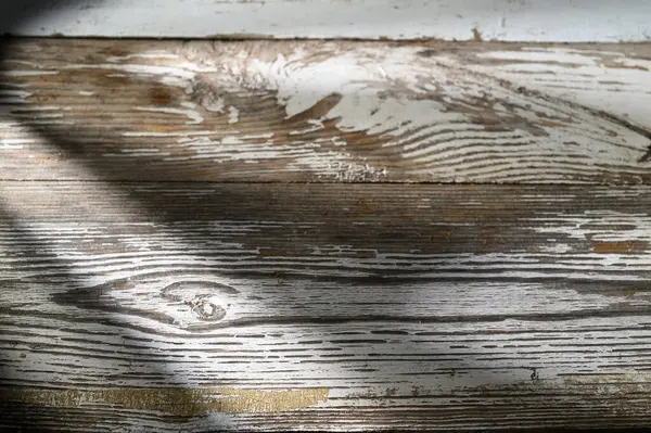 Ilık güneş ışığı, yıpranmış ahşap zeminin zengin dokusunu aydınlatır kırsal güzelliğini ve çekiciliğini ön plana çıkarır..