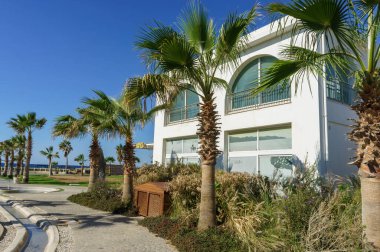 Palmiye ağaçlarıyla süslenmiş sakin bir yürüyüş yolu, berrak mavi gökyüzünün altında güneşlenen çağdaş bir binaya götürür..