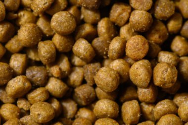 Küçük, kahverengi topaklar birbirine yakın bir şekilde dizilmiş. Evcil hayvan besleme heyecanı için dokularını ve renklerini sergiliyorlar..