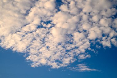 Gökyüzü pamuk gibi yumuşak bulutlarla süslenmiş, yukarıda barışçıl bir atmosfer yaratıyor..