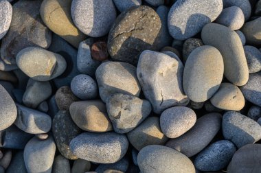 Pürüzsüz, çeşitli boyutlarda yuvarlak çakıl taşları huzur dolu bir nehir yatağında dinleniyor, yumuşak sabah ışığında parlıyor..