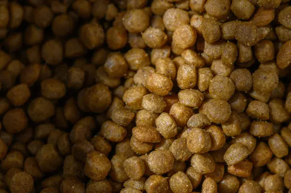 Kahverengi köpek mamaları bir kasede oturur, yumuşak ışık altında parıldar, yemek saatinde ya da atıştırma saatinde evcil hayvanları eğlendirmeye hazırlanır..