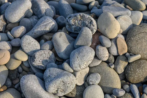 Çeşitli taşlar, berrak bir plajda, parlak güneş ışığı altında şekillerin ve gölgelerin bir karışımını sergilerler..
