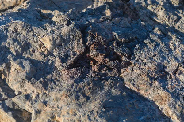 Güneş ışığı, engebeli kaya oluşumlarının karmaşık dokularını vurgular, doğanın güzelliğini ve esnekliğini yakalar..