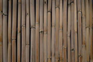 Doğal bambu şeritleri, sakin bir ortamda rahatlama ve sükuneti davet eden büyüleyici, kırsal bir duvar oluşturur..