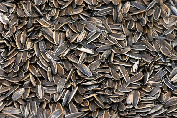 A vibrant display of roasted sunflower seeds fills the surface, embodying warmth and comfort in a kitchen.