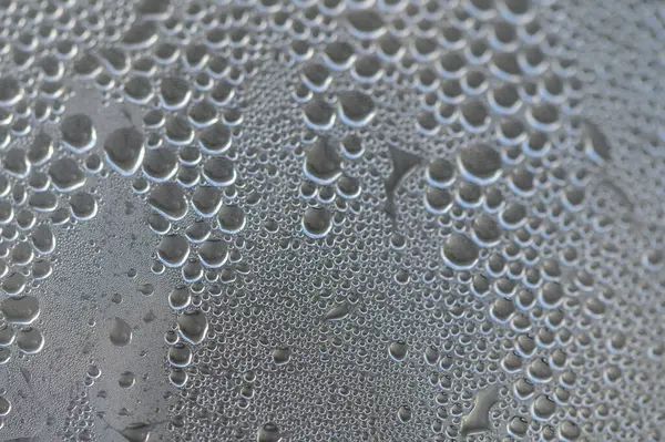 Küçük su damlacıkları cam yüzeyde hassas bir kalıp oluşturur. Etraflarındaki yumuşak ışığı güzel bir şekilde yakalar..