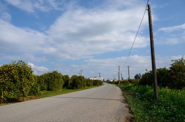Güneşli bir günde kabarık bulutların üzerinde sürüklendiği yemyeşil meyve bahçelerinde huzurlu bir köy yolu uzanıyor..