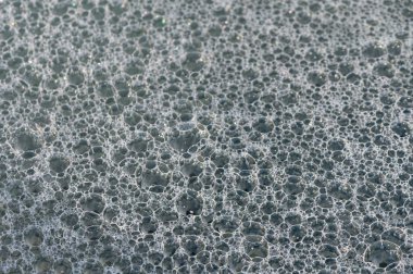 Yumuşak güneş ışığı, sakin suda yüzen baloncukları vurgular, barışçıl bir atmosfer yaratır..