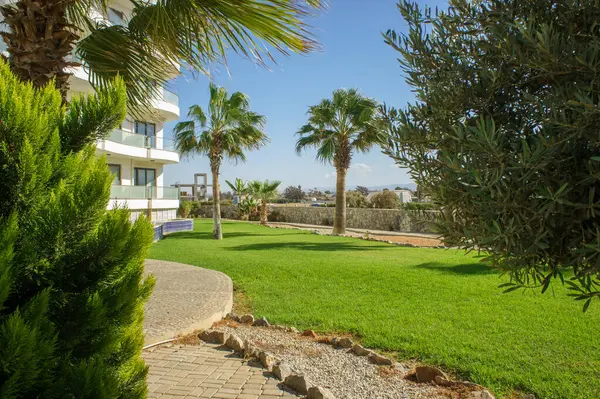 Canlı bir bahçe, güneşin altında çağdaş bir binanın yanında uzun palmiye ağaçları ve manikürlü otlar barındırır..