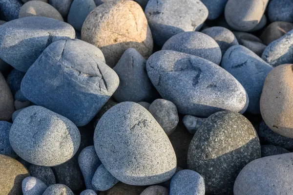 Okyanus kıyısındaki sakin bir sahilde güneş ışığında parlayan güzel bir taş koleksiyonu..