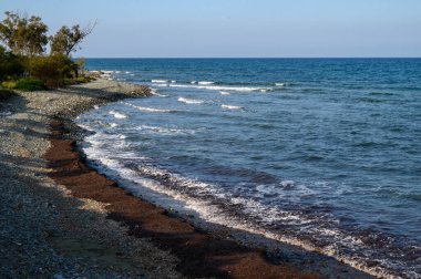 Gümüş dalgalar, uzak ağaçlar ve güneşli bir günde huzurlu bir atmosfer tarafından çerçevelenmiş çakıl taşlı bir plaja yuvarlanır..