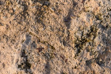 Sıcak güneş ışığıyla aydınlatılan, dokulu detayları ve ince renkleri gösteren bir kaya yüzeyinin yakın görüntüsü.