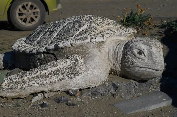 Betondan yapılmış büyük bir kaplumbağa heykeli serpilmiş kayaların ve yeşilliklerin arasında, parlak güneş ışığı altında yatar..
