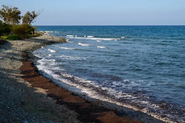 Gümüş dalgalar, uzak ağaçlar ve güneşli bir günde huzurlu bir atmosfer tarafından çerçevelenmiş çakıl taşlı bir plaja yuvarlanır..