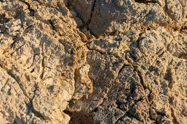 Sıcak sabah ışığı kayanın engebeli yüzeyine oyulmuş büyüleyici doku ve desenleri ortaya çıkarıyor..