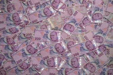 Sayısız banknot, paranın ve tasarımın değerini kutlayan renk ve dokulardan oluşan göz alıcı bir mozaik oluşturuyor..